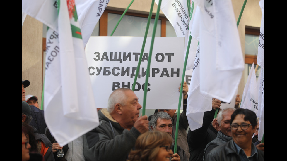 Протест на лозари в София