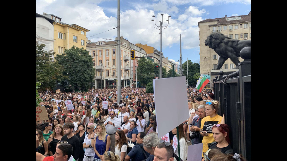 Протести в десетки градове заради жестоко малтретираното 18-годишно момиче