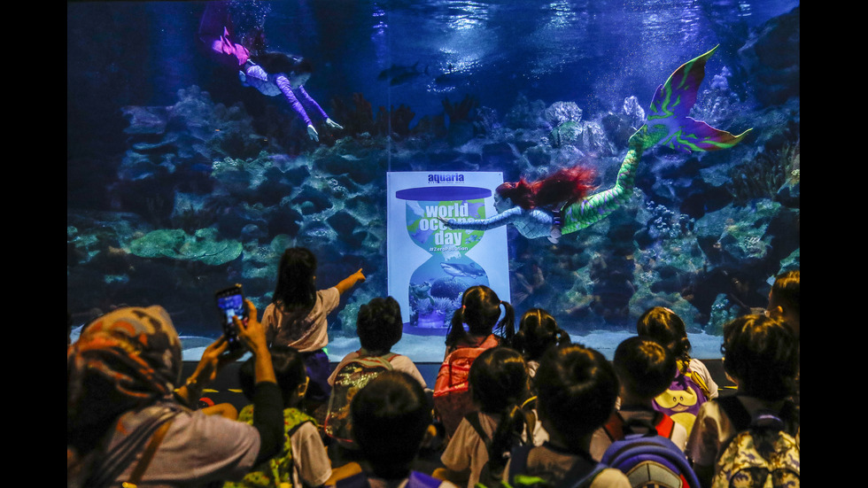 Светът отбелязва Деня на океаните