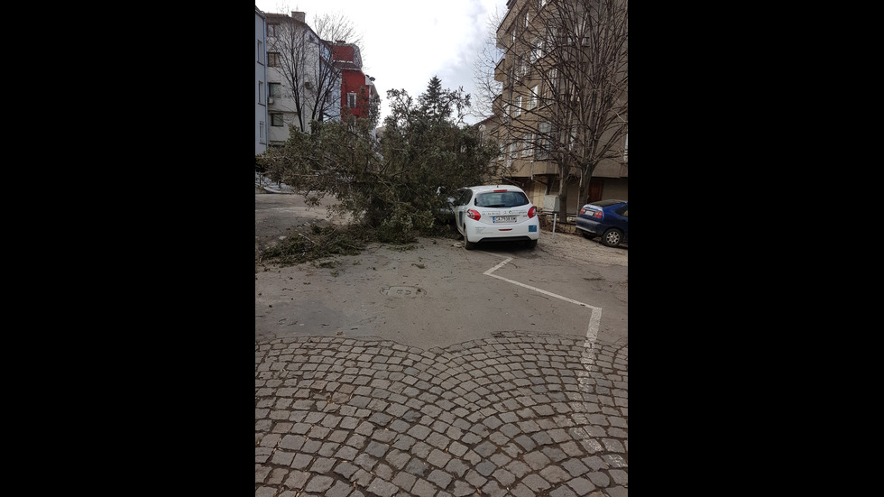 Вятърът нанесе щети в цялата страна