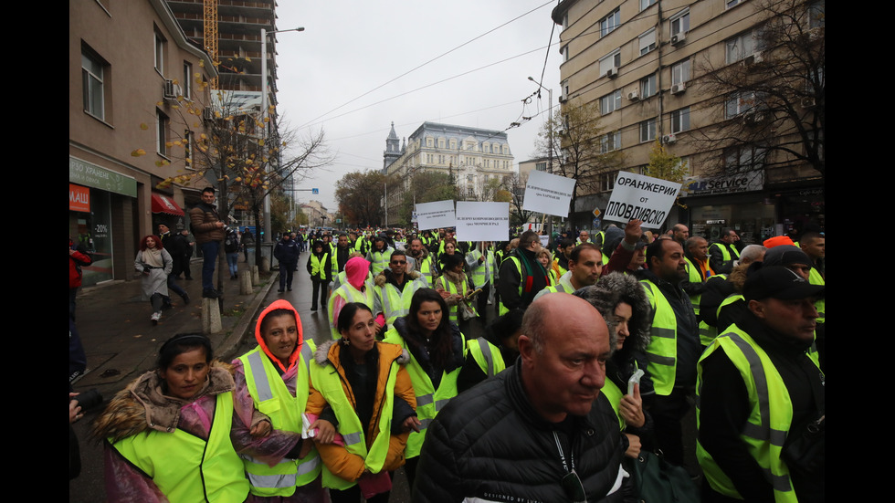 Фермери и животновъди отново излизат на протест