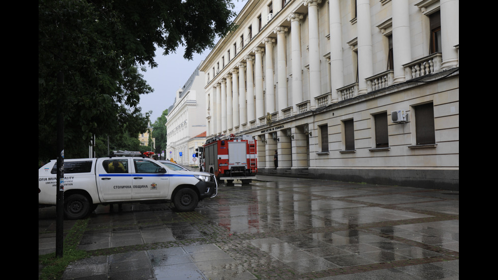 Дърво падна пред Народния театър в София, пострадало е момиче