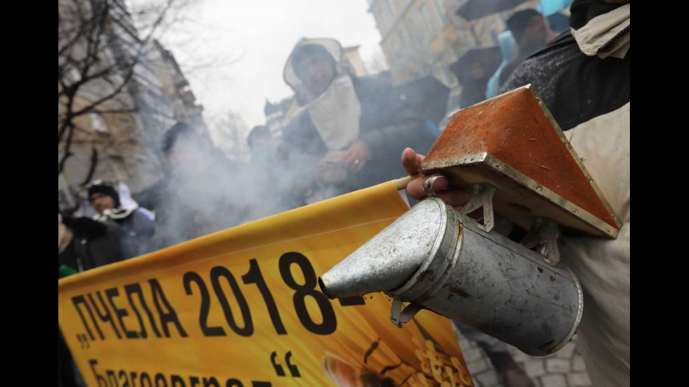Протест на пчеларите в София