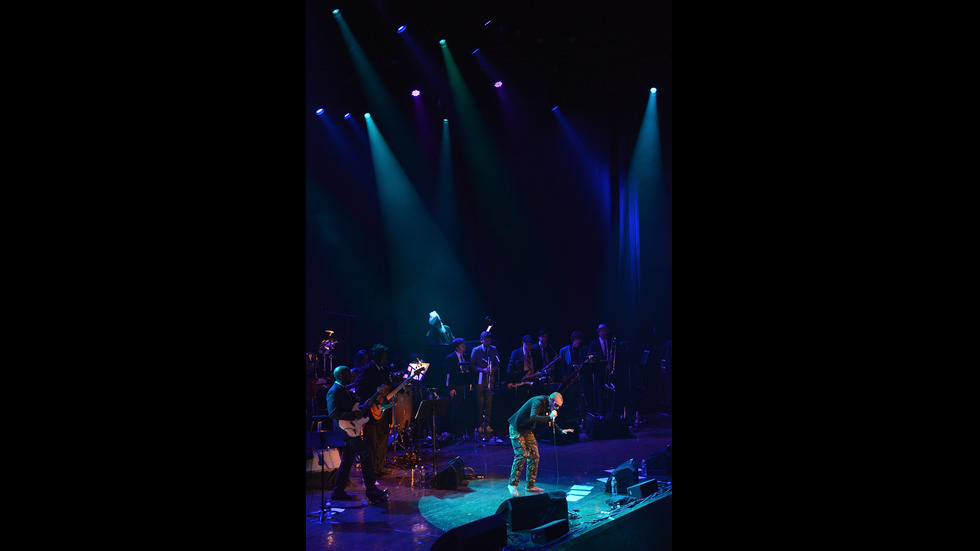 Отиде си Шинейд О'Конър - бунтарката на световната музикална сцена