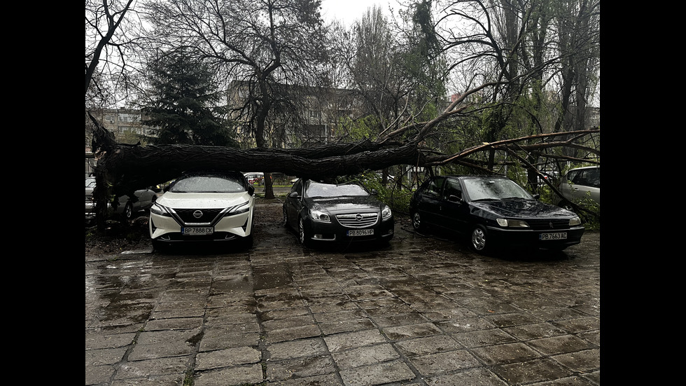 След силна буря: Изолация на блок падна върху детска градина в Пловдив