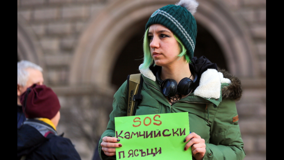 Екоактивисти излизат на протест пред МС