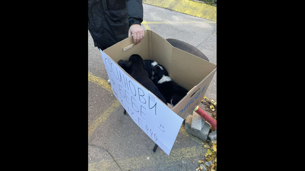 „Справедливост за Мая”: Стотици столичани излязоха на протест