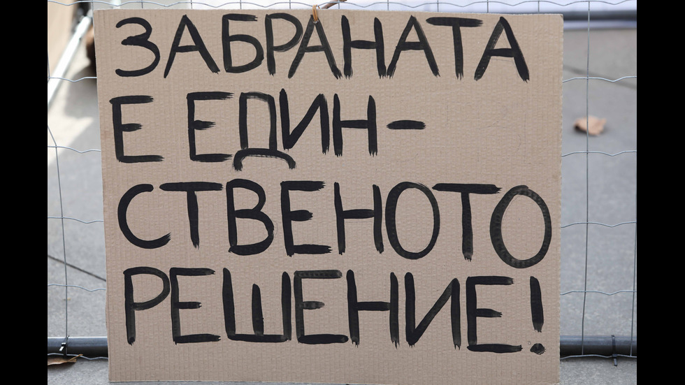 ПРОТЕСТ В КЛЕТКА: Природозащитници срещу фермите за кожи