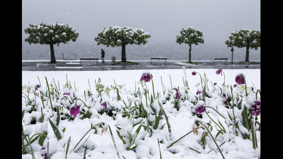 Сняг заваля на много неста в Швейцария