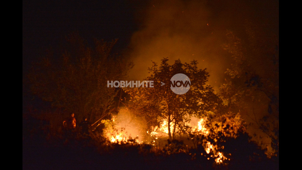 Запалени стърнища вдигнаха на крак пожарникари от Ловеч