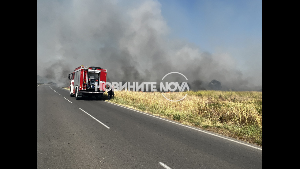 Пожар пламна край Петрич