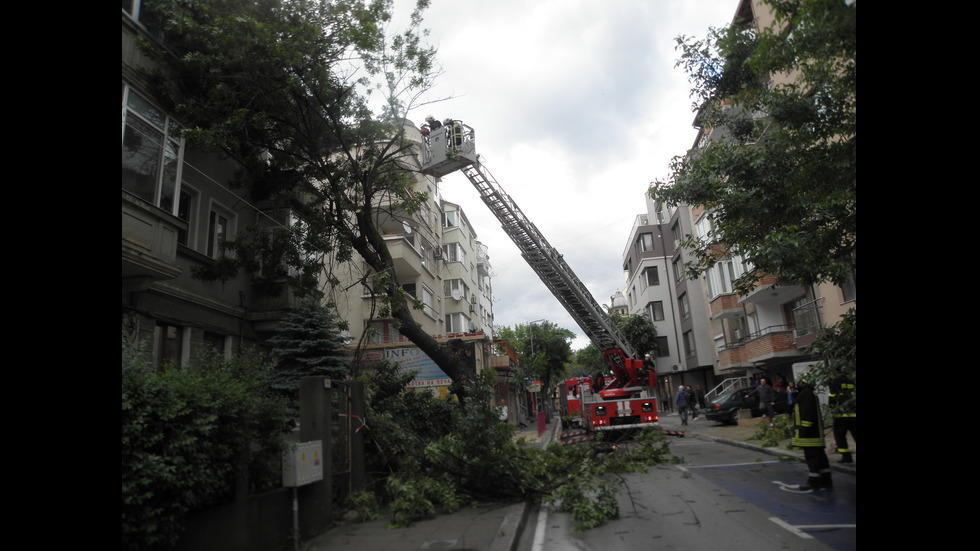 Бурята в Благоевград бутна дърво в 3-етажна сграда