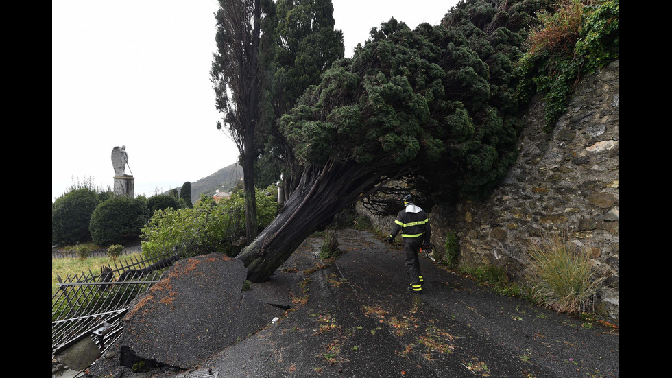 Мощна буря изкорени огромни дървета в Италия