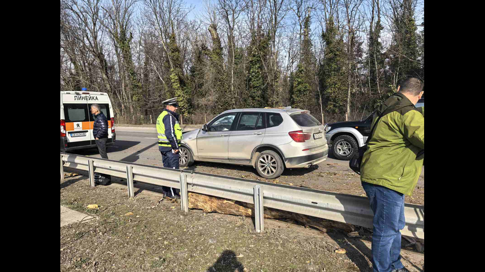 Дърво падна върху кола на "Цариградско шосе" в София