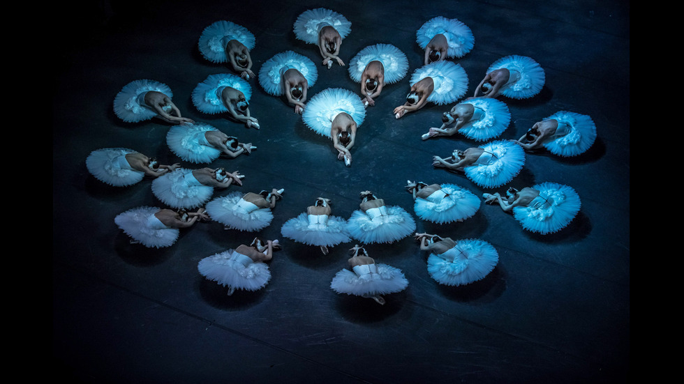 Новините на 2019-а в снимки