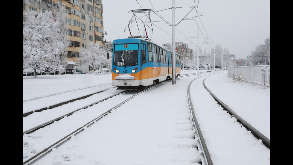 Обилен снеговалеж в София