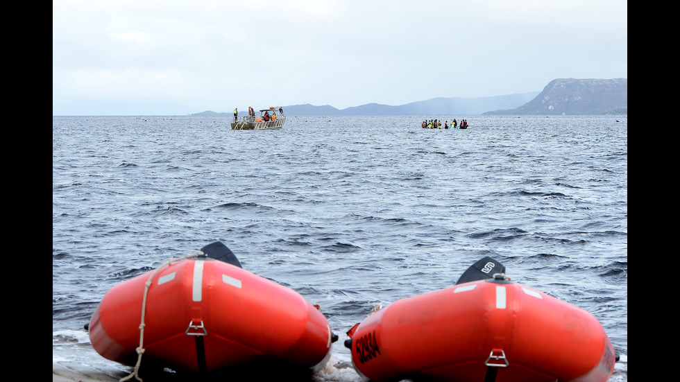 Спасители се опитват да помогнат на китове, заседнали в плитчините край Тасмания