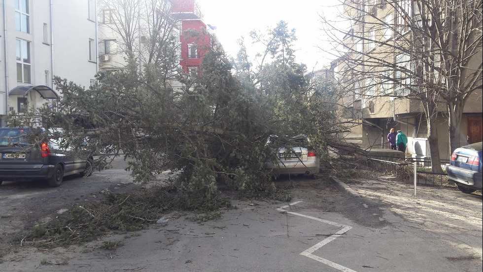 Вятърът нанесе щети в цялата страна