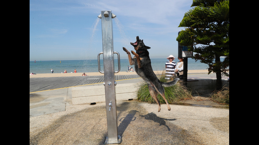 Новините на 2019-а в снимки