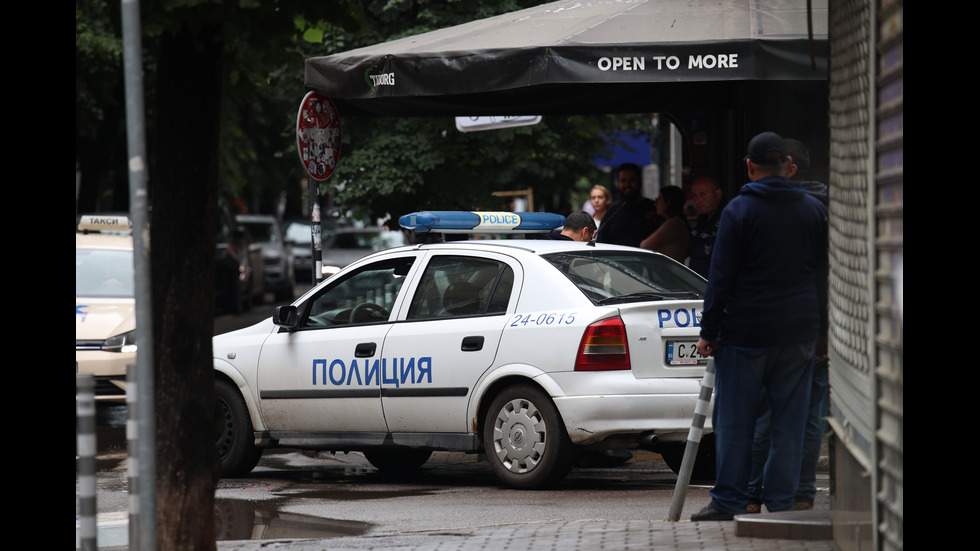 Дърво падна и рани тийнейджърка в София