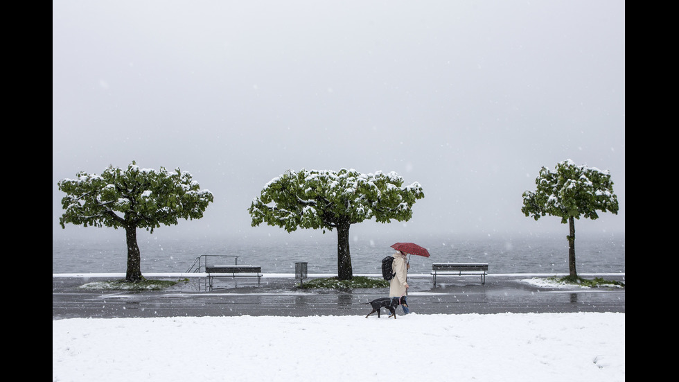 Сняг заваля на много неста в Швейцария
