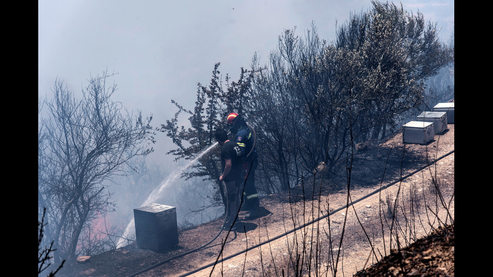 Гърция обяви извънредно положение на остров Евбея заради пожари