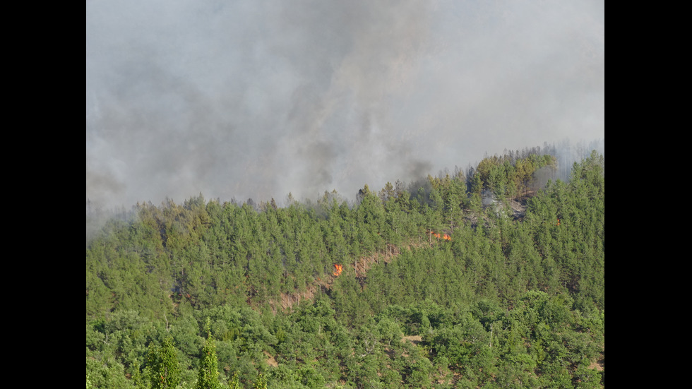 Голям горски пожар край село Стара Кресна