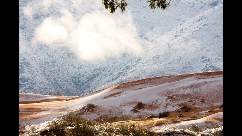 Снежна пелена покри Сахара