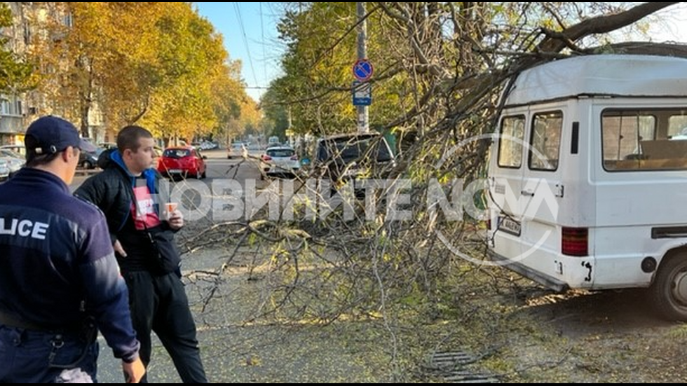 Клон падна върху пет коли в Бургас