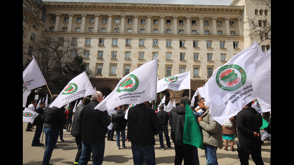 Лозари излязоха на протест