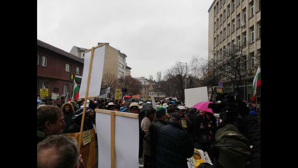 Протест на пчеларите в София