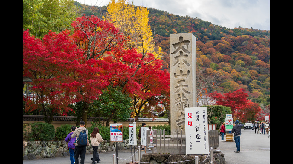 Есенна Япония - страната, в която ходят на "лов за листа"
