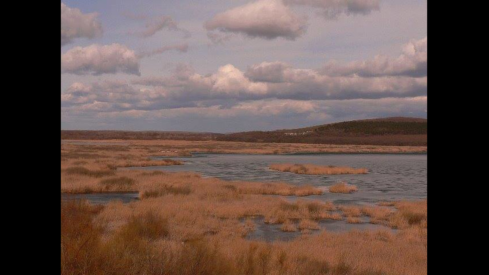 Красотата на резервата "Сребърна"