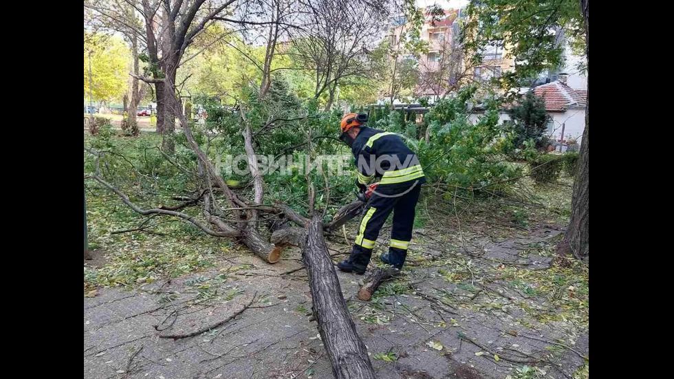 Сигнали за паднали дървета и клони, висящи ламарини, неукрепени билбордове в Пловдив