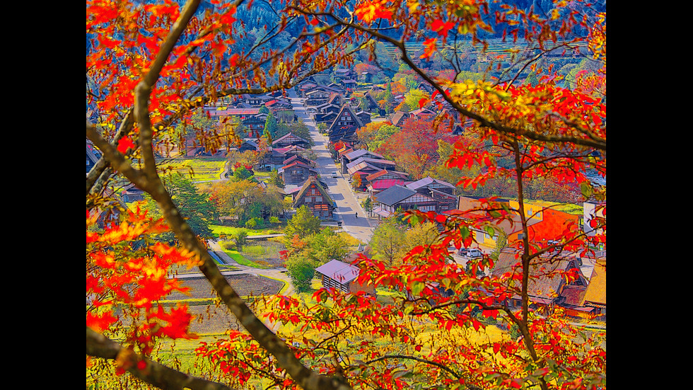 Есенна Япония - страната, в която ходят на "лов за листа"
