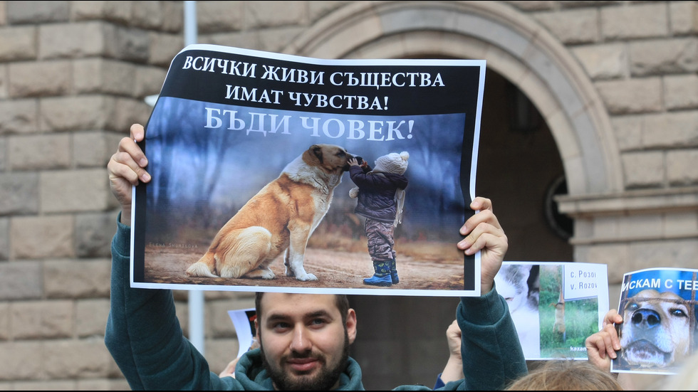 Протест в София срещу насилието над животни