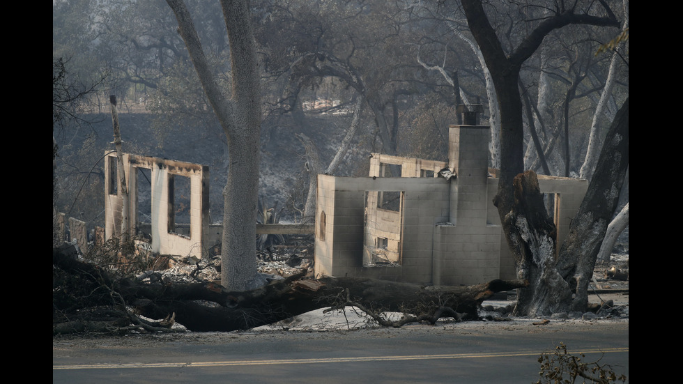 Тежка равносметка след горските пожари в Калифорния