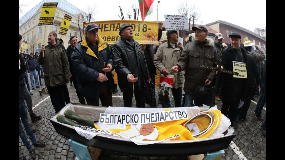 Протест на пчеларите в София