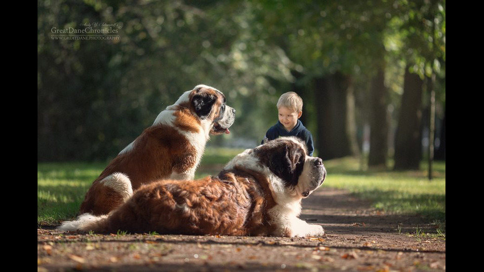 Малки деца и техните големи кучета