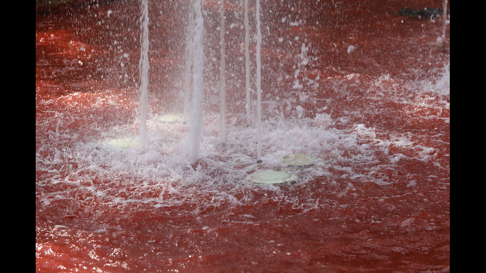 По повод 9 септември: Оцветиха в червено фонтан в центъра на София