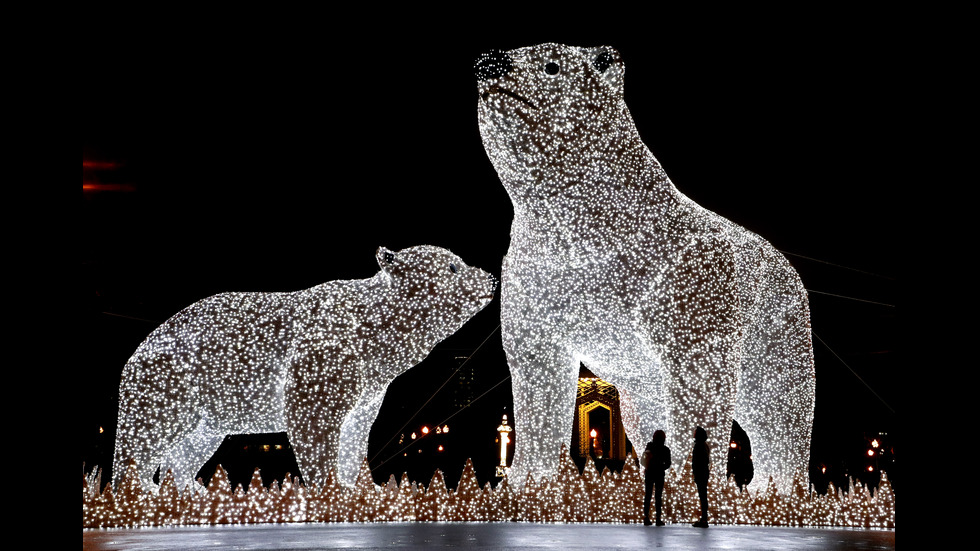 Новините на 2019-а в снимки