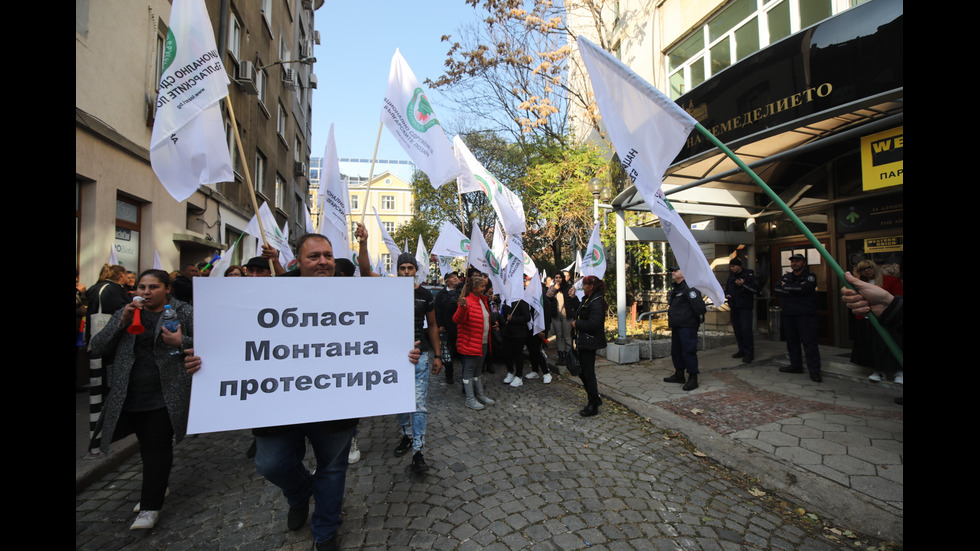 Протест на лозари в София