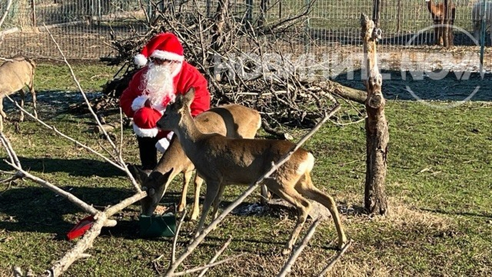 Дядо Коледа раздава подаръци в зоопарка в Бургас