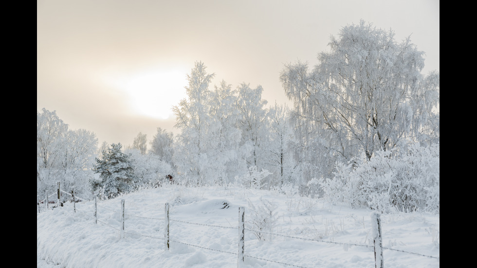 Красотата на зимата в снимки