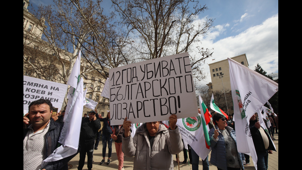 Лозари излязоха на протест