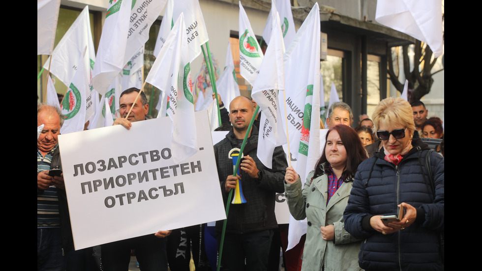 Протест на лозари в София