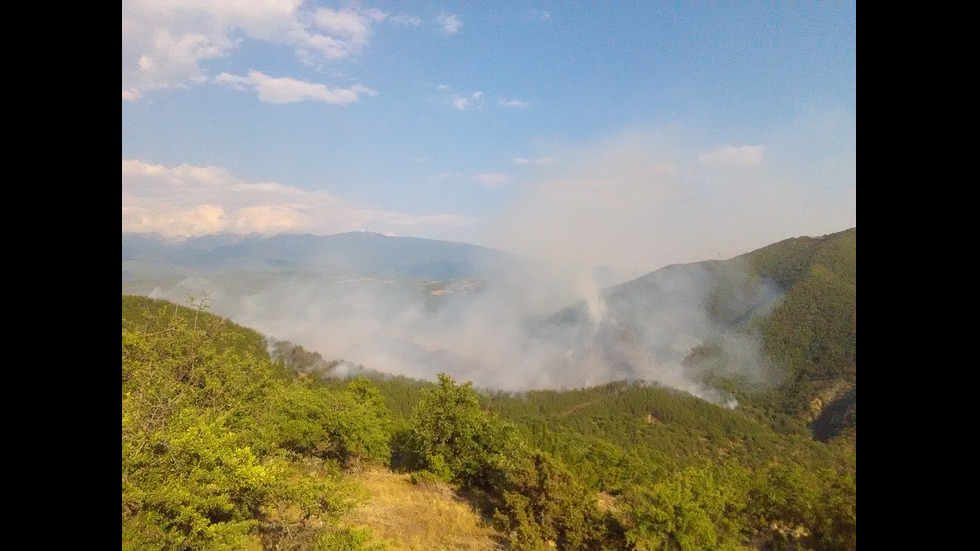 Голям горски пожар край село Стара Кресна
