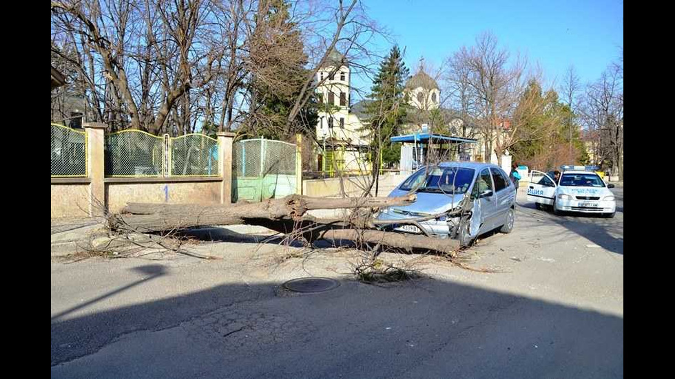 Сериозни щети от вятъра във Враца