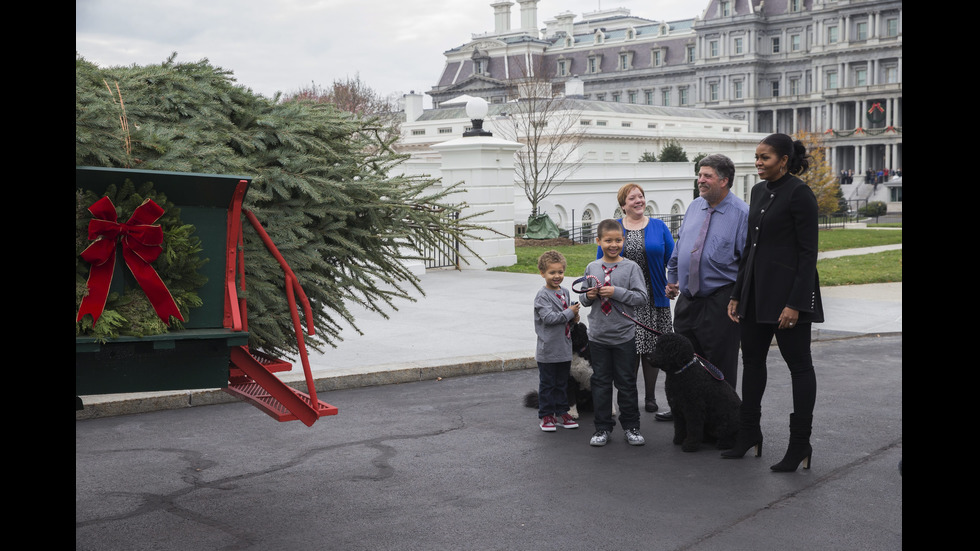 Мишел Обама прие коледната елха за Белия дом