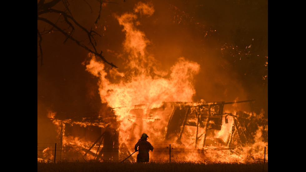 Новините на 2019-а в снимки